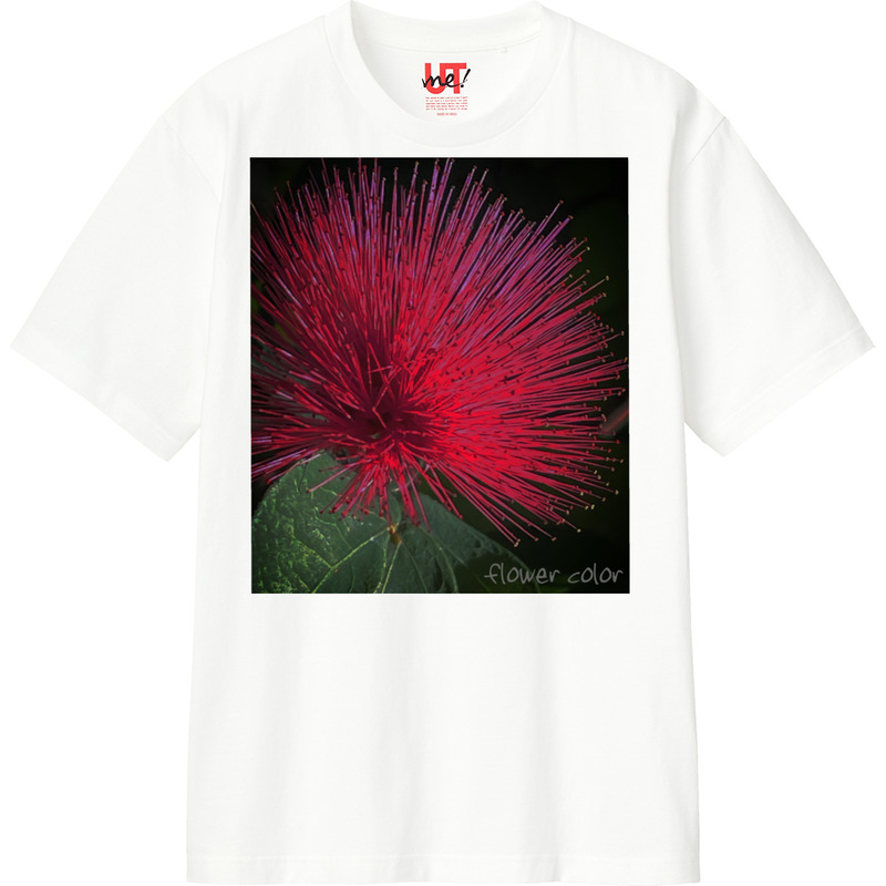 B37cb071 4f53 47ce ae25 288026a2860d 110 print ll