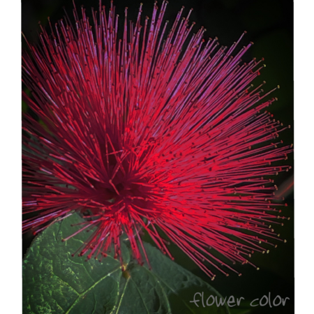 B37cb071 4f53 47ce ae25 288026a2860d s