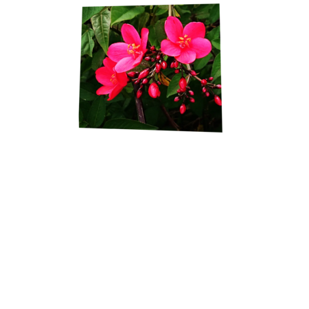 91373679 d06f 4f78 881f 69e0677a387b s