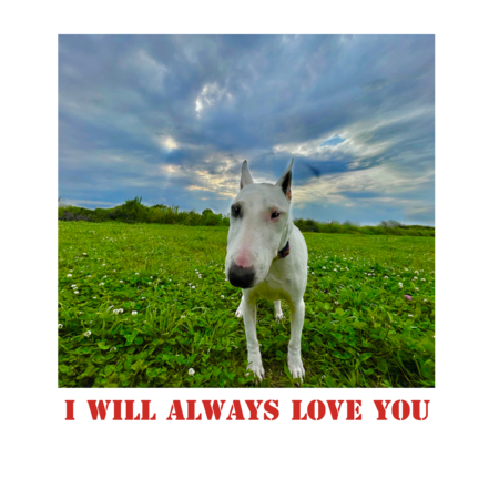 99ba95bb 40ea 4e0e a9e4 c63b81d98f11 s