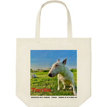 41389288 c1f3 42fc b917 64f6f0a822a3 9 print s