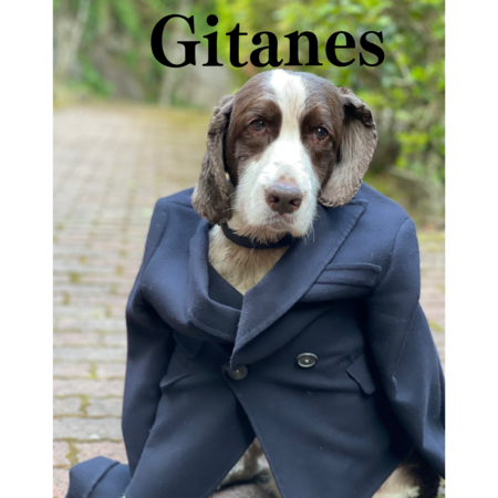 404fef44 3c48 4222 8d9f c478cfabd21e s