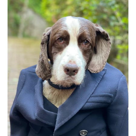 E9c68614 1818 4f01 9827 eb24c4b89e5d s