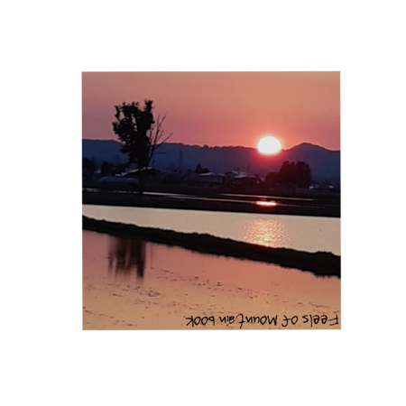 0f72952d b325 4ec3 814e f7948f472da2 s