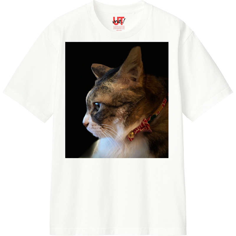 4b1df0b1 44b4 4a27 b6c8 b597296eb45b 110 print ll