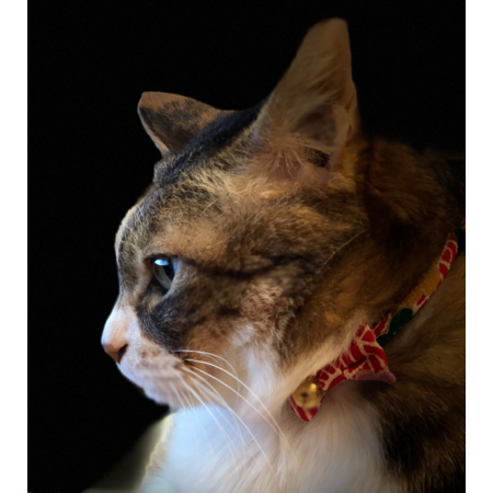 4b1df0b1 44b4 4a27 b6c8 b597296eb45b s