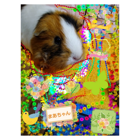 E93b74ab a1ad 4620 af9d c05727e85a1f s