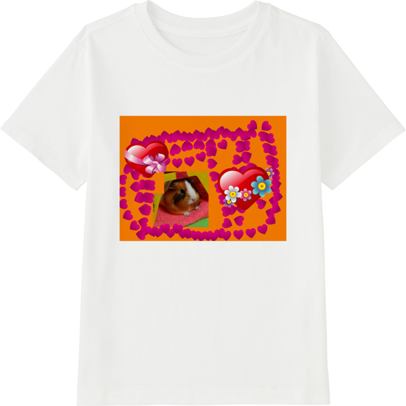 8f4155ca eef0 434a b0bf 2cde567e21de 45 print ll