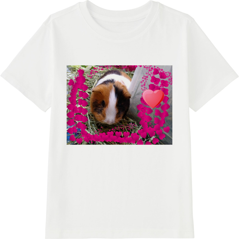 Ef45376e 3e81 4a95 9cd8 eaf959ba6ea7 45 print ll