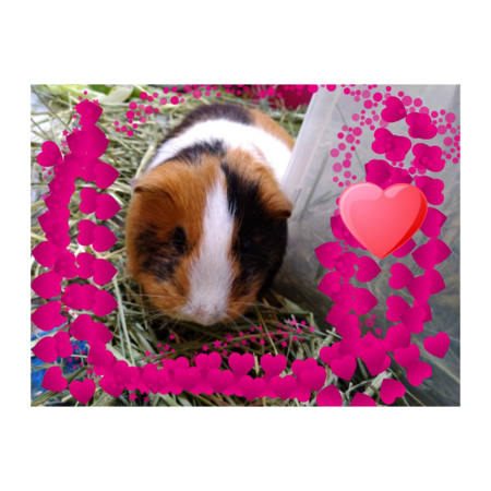 Ef45376e 3e81 4a95 9cd8 eaf959ba6ea7 s