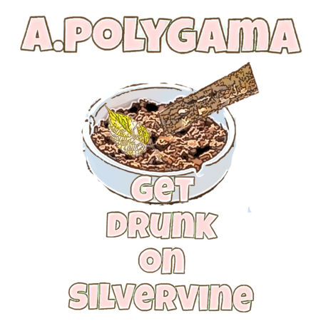 6caa0f05 f113 44b4 a43c 2861076ad5ac s