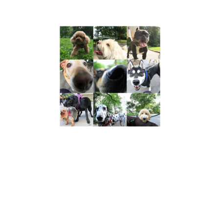 1a1715d1 416d 4e66 8ca9 6dbdf1c7b834 s