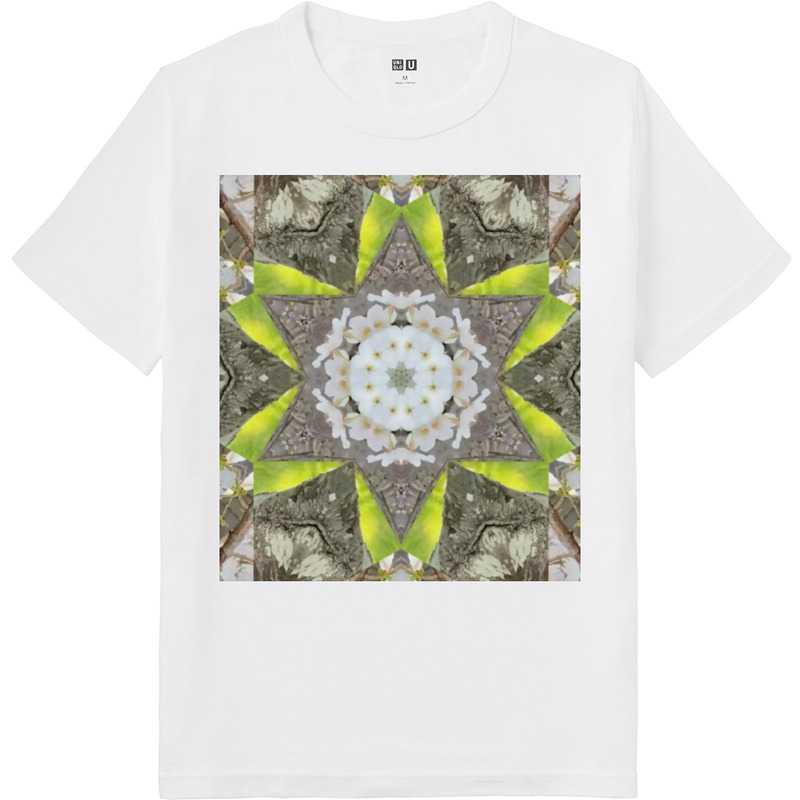 7cb4068d bdce 452b 836b 7552f32bf5a5 64 print ll