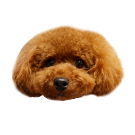 86d2d619 5a2f 4dd5 a368 bb6a7773244d s