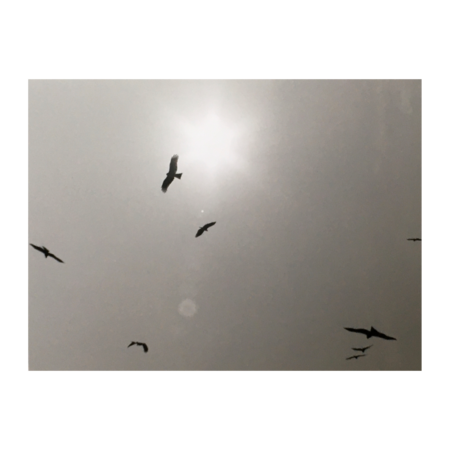 6e489b91 0713 4d85 90cc c25547151f6b s