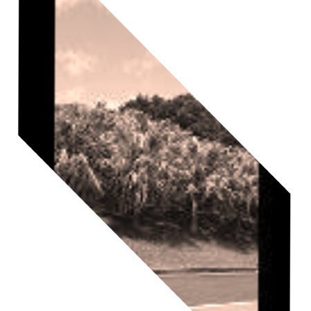 F5c65ef4 7a98 4000 be6f 97f98aa76e81 s