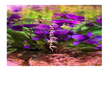 5d9ece26 240d 48e0 9b9a e6548c185cf2 s