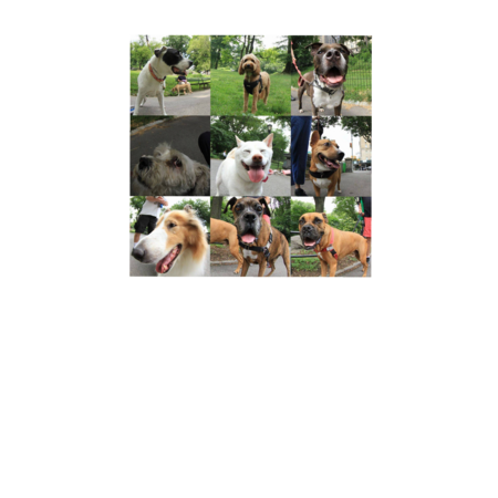 8fe72528 563c 4e3f 8441 7fc6bb61c034 s