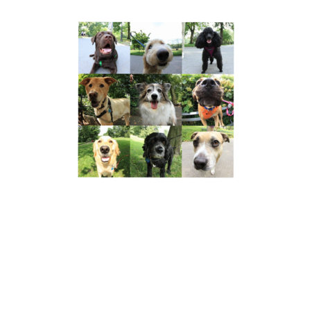 C171a5b0 b2bf 43be a6a4 5abebcc84645 s