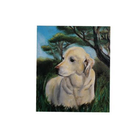 90890b39 9b1c 426b 99fc b53c7255e9bd s