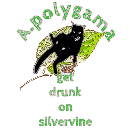 82bb78c8 1da5 4d1e a46b f97ea5b79355 s