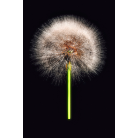 1ca20729 b696 49da 828e 25448420ff80 s