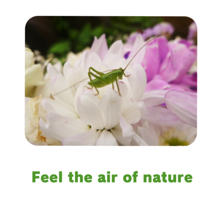 31d0d71c 9e27 41af 8082 44a300f0a4ab s