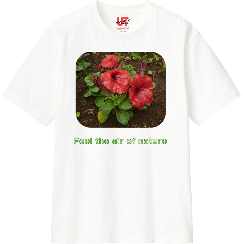 9886b322 acc4 43fd a2d0 4d8a49b18984 110 print ll