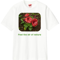 9886b322 acc4 43fd a2d0 4d8a49b18984 110 print s