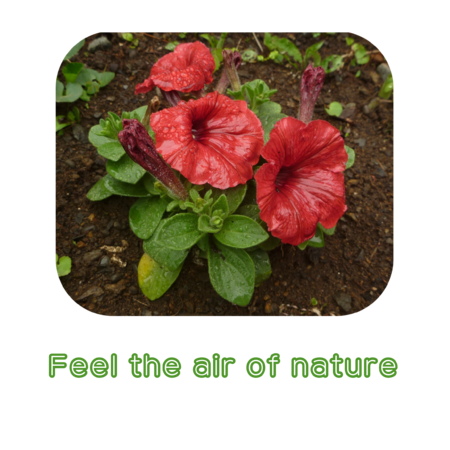 9886b322 acc4 43fd a2d0 4d8a49b18984 s