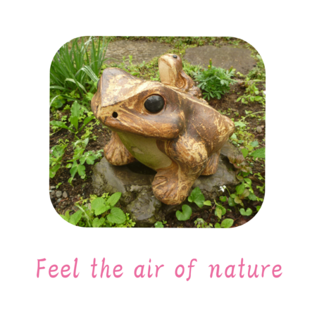 6792a1b8 ee34 4df1 b022 33e058308efd s