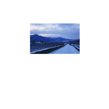 98710a4e e773 4b81 afe0 6f710aab9a29 s