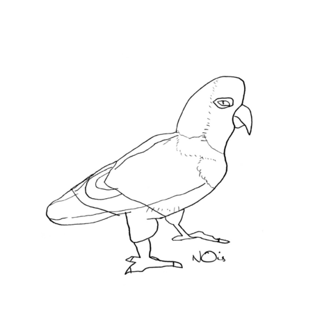 3d1cc556 f660 417f a2ff bd9d1838a3d6 s