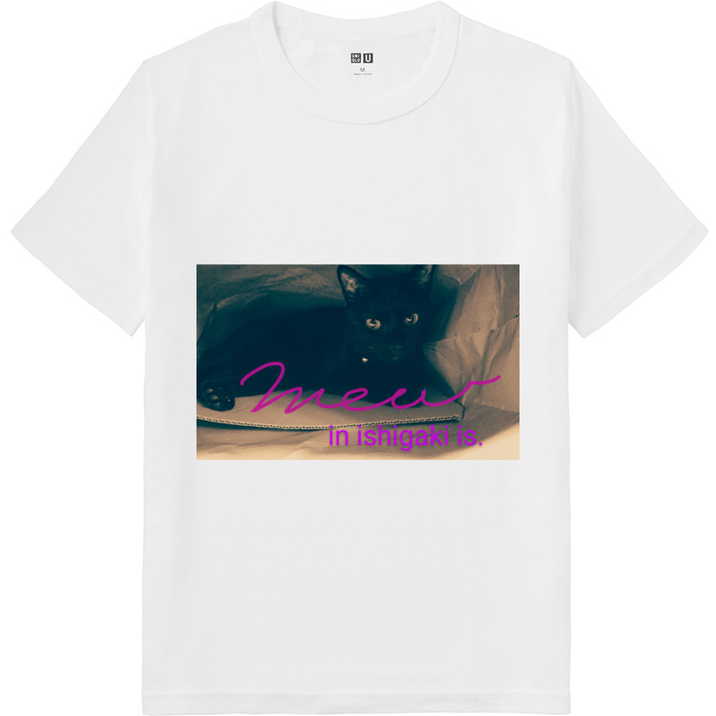 A02764f1 a3e5 48e7 8f01 6882cb7ad5bc 64 print ll