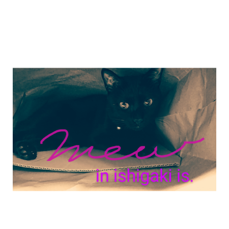 A02764f1 a3e5 48e7 8f01 6882cb7ad5bc s