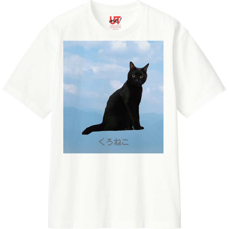 299b9d70 6789 47e3 935f d79c1094a703 110 print ll