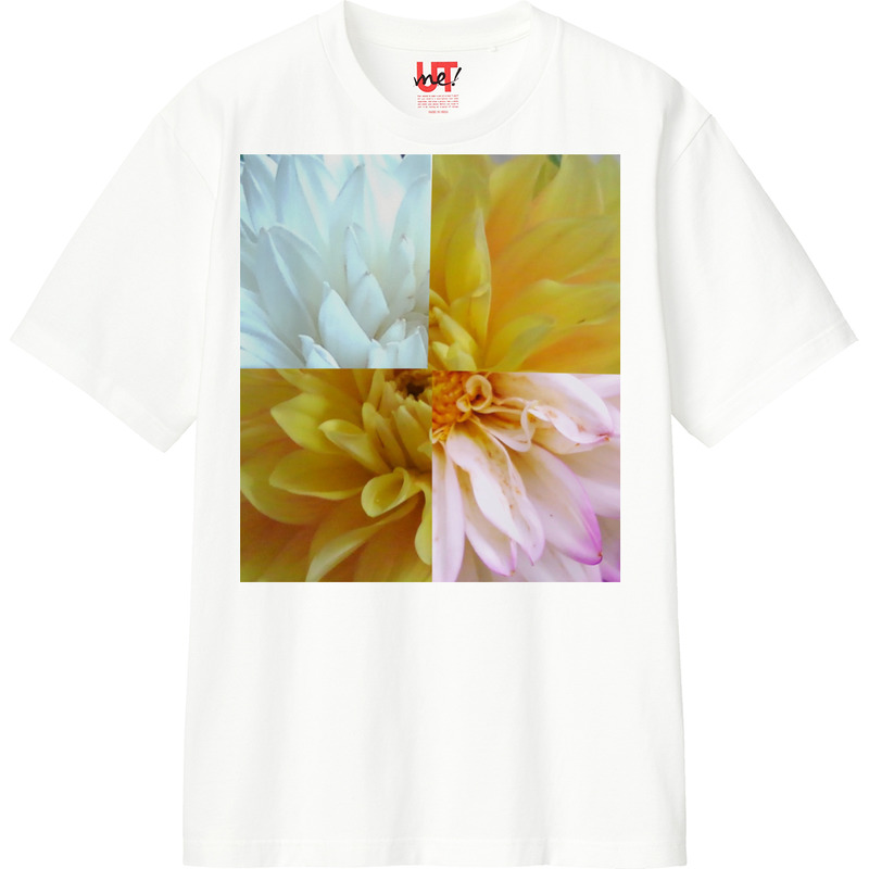 Eb2d8658 2ab8 4544 a06c 851ba4984efe 110 print ll