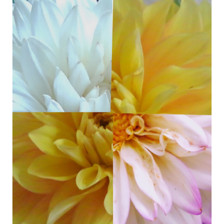 Eb2d8658 2ab8 4544 a06c 851ba4984efe s