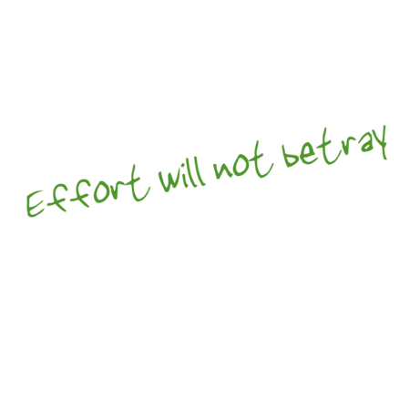 69a484fa 51cd 4d69 9c26 08d9eb29e636 s