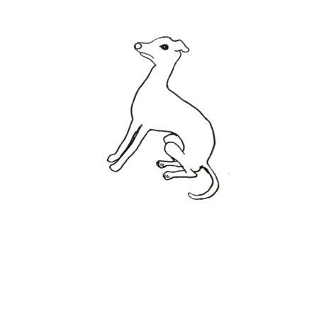 397acc08 c91a 4779 8688 4c342b962e29 s