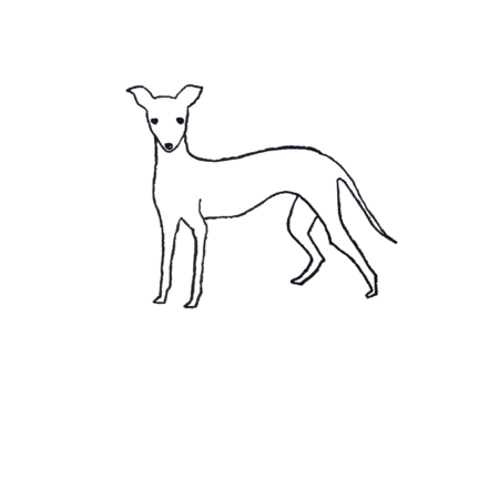 5761d83c b316 4902 bc7d ddf475707221 s