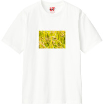 Deb7b662 cd66 464d b51b 97e9fd3843a2 110 print s