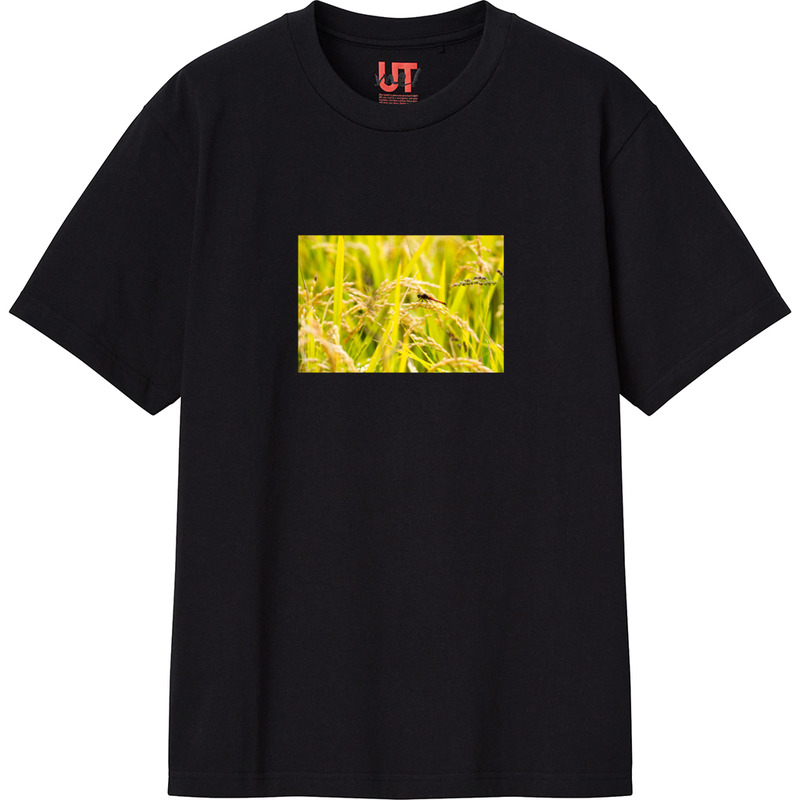 Deb7b662 cd66 464d b51b 97e9fd3843a2 111 print ll