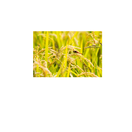 Deb7b662 cd66 464d b51b 97e9fd3843a2 s