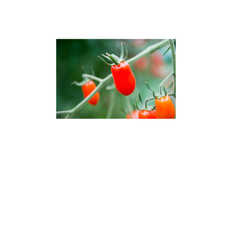 1ba21b39 11ab 4a83 aca9 fec833f0ff64 s