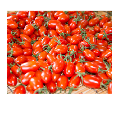 23739a1a 16e4 4621 b437 bc197e36fa58 s