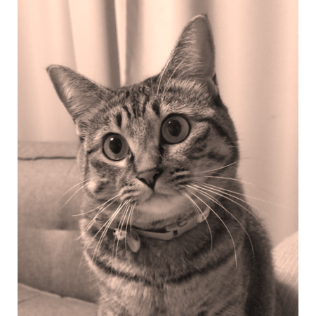 F10282ed a226 4a49 bb88 ea60746575bc s