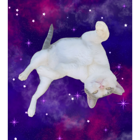 9c3a59c9 f4b4 4af7 978d 76fa9b2cca4f s