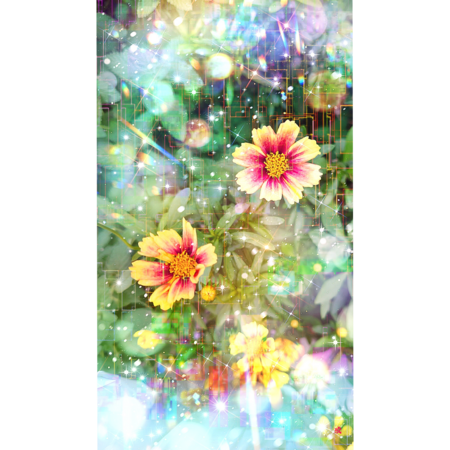 D2f3d051 765b 43b9 a7f4 fa01eec69e5d s