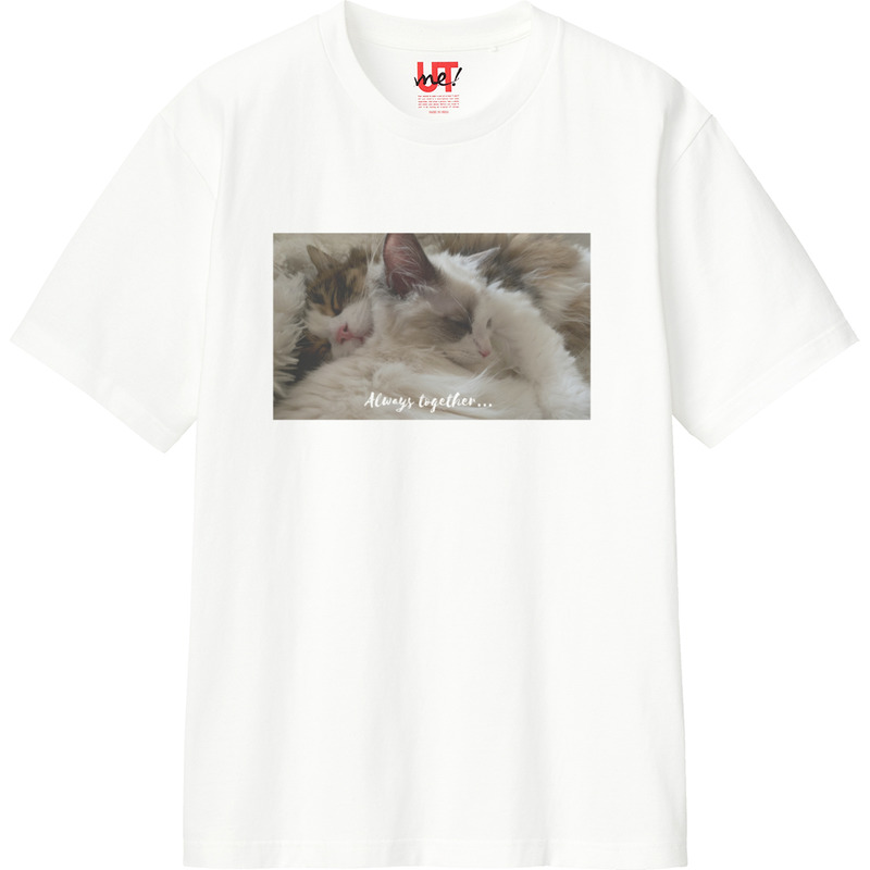 93b29540 a7ee 497d 8c36 6ee9139c060d 110 print ll